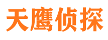 内乡找人公司